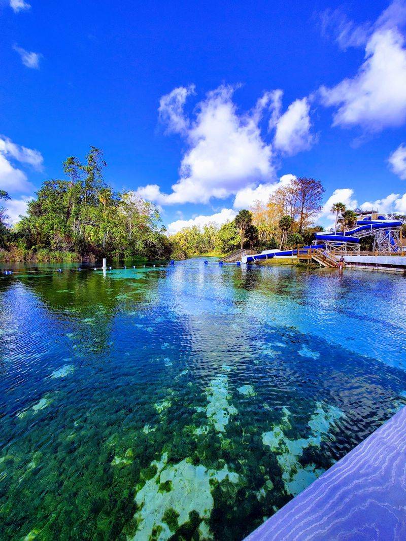 Weeki Wachee Springs State Park (Weeki Wachee)