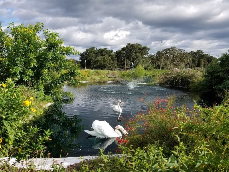 Perfectly Positioned for Central Florida Adventures