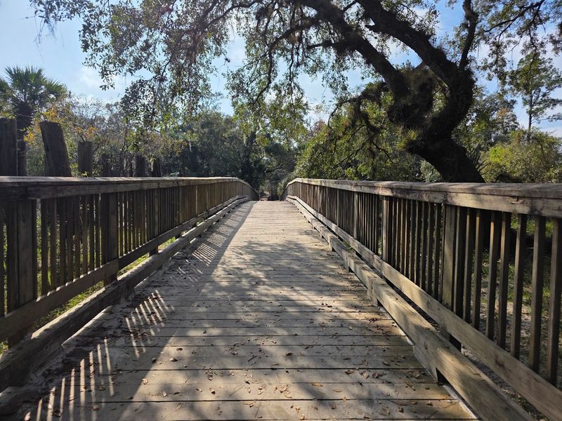 Little Big Econ State Forest (Kolokee Loop)