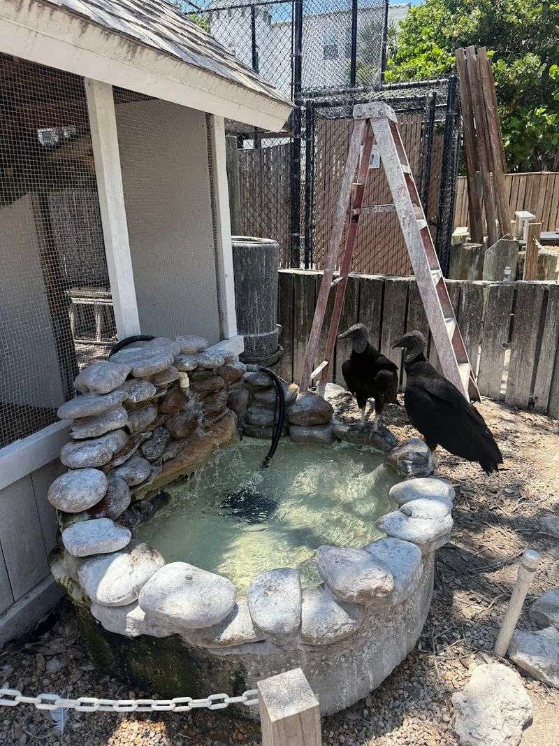 Support Through the Gift Shop