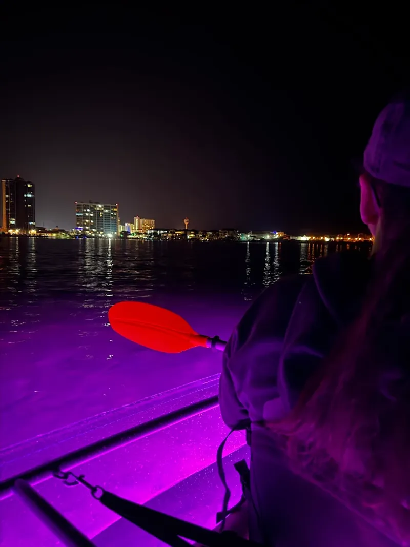 Fish Jump Right Into Your Boat