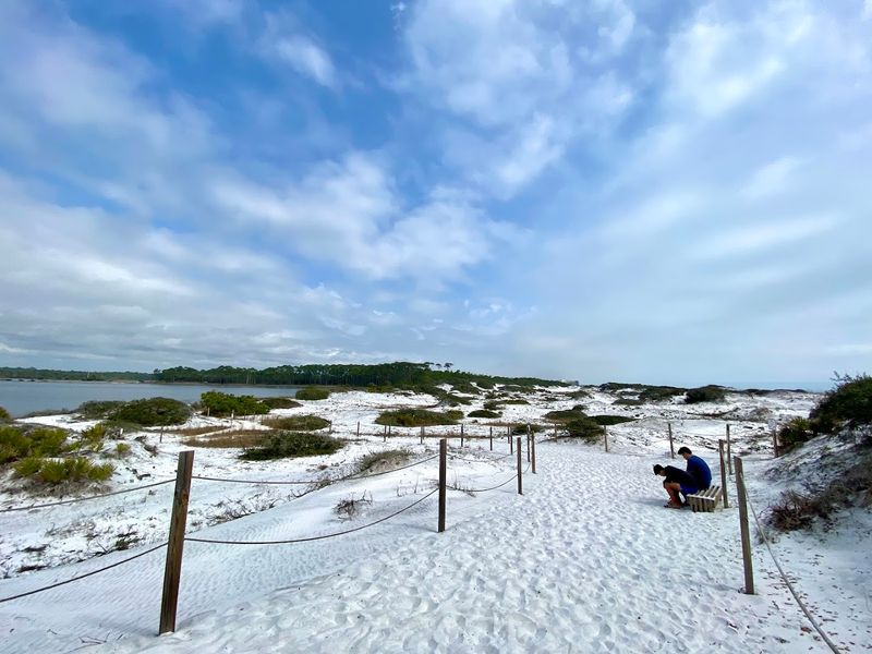 Grayton Beach State Park Dune Systems