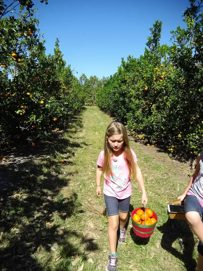 A Family Tradition Worth Starting