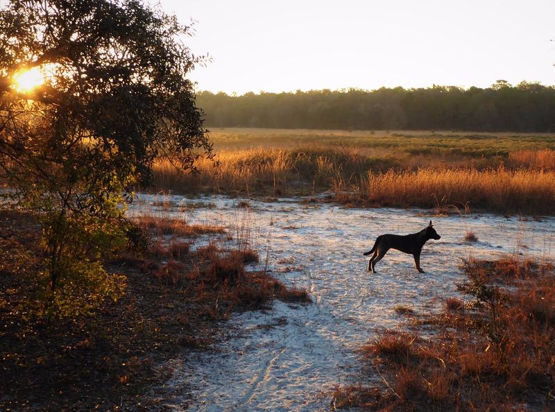What Makes This Segment Unique
