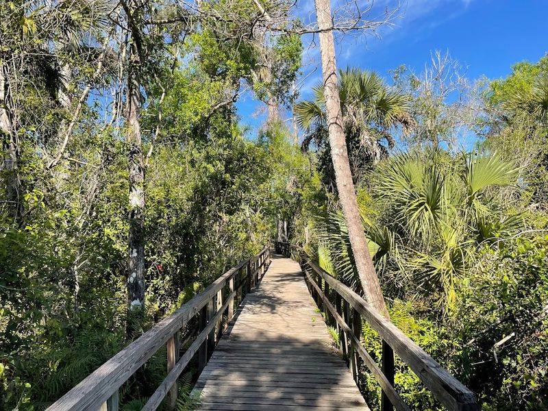 The Boardwalk at Big Cypress Bend