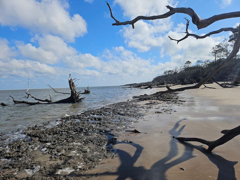 Boneyard Beach