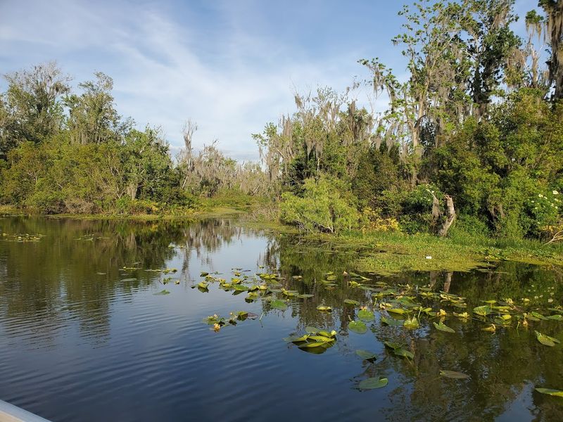 Lake Griffin (Fruitland Park)