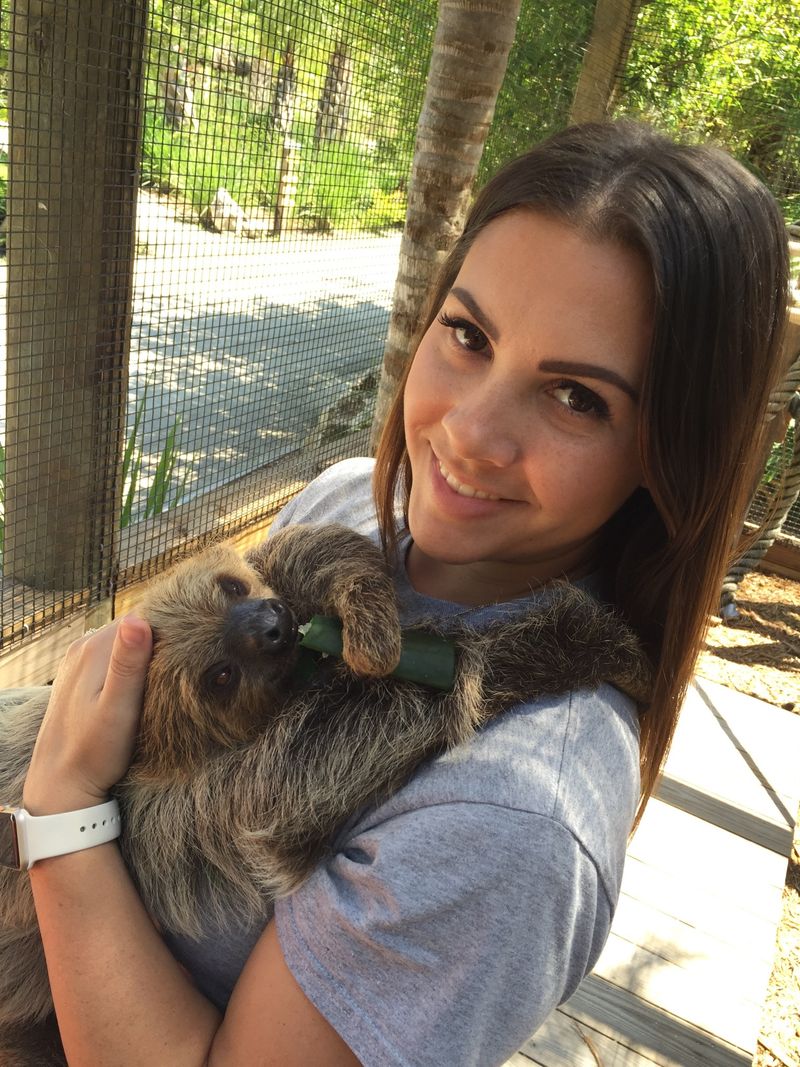 The Sloth Encounter That Started It All