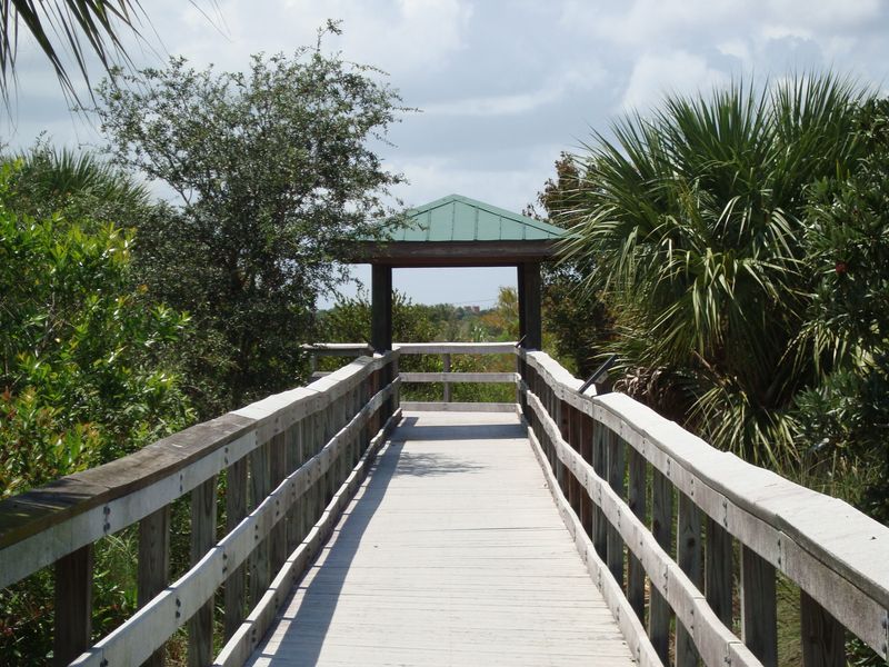 Elevated Boardwalk System Keeps You Dry
