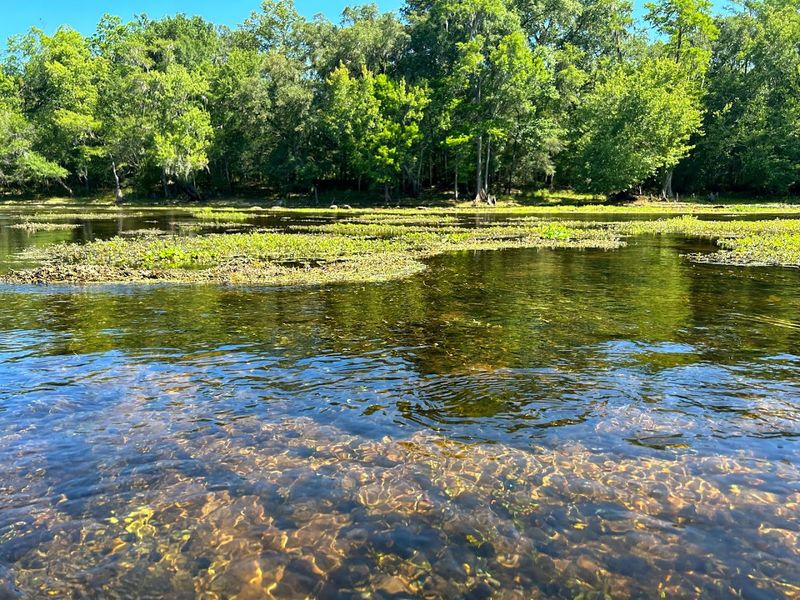 Santa Fe River (High Springs/Gilchrist County)