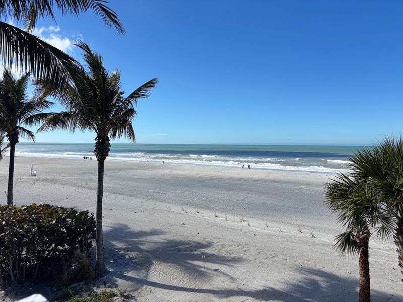 Explore the Osprey Observation Tower