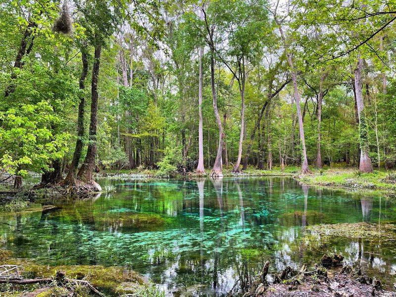 Ruth B. Kirby Gilchrist Blue Springs State Park (High Springs)