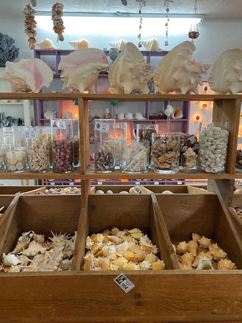 Shell World (Key Largo)