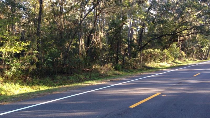 William Bartram Scenic & Historic Highway / SR 13 (St. Johns River area)
