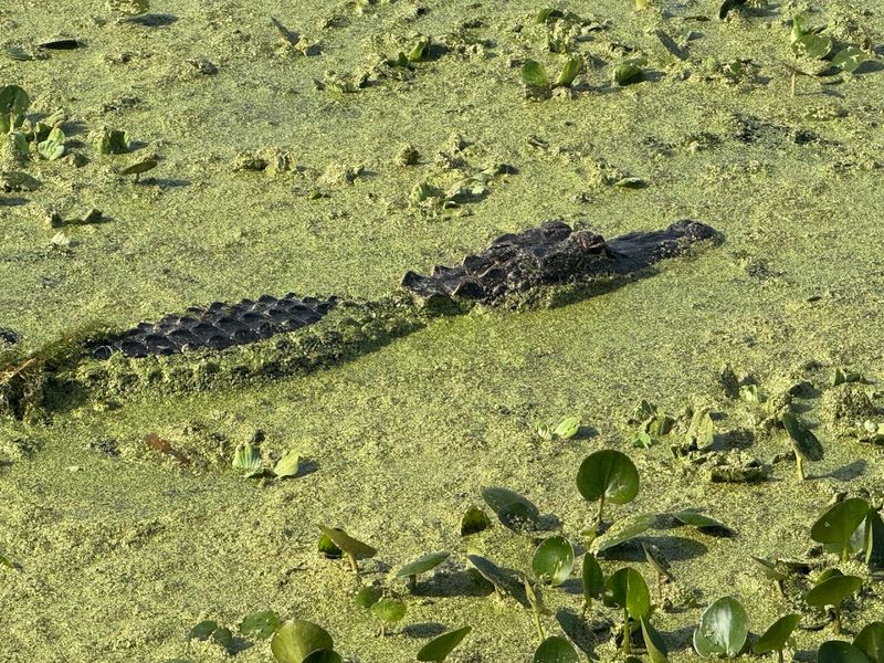 Year-Round Wildlife Photography Opportunities