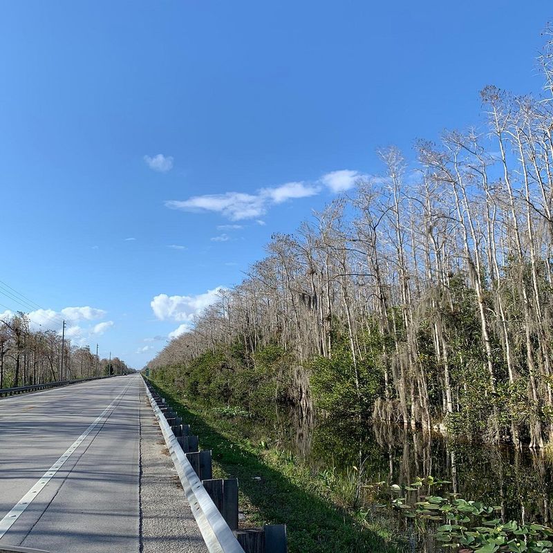 Tamiami Trail Scenic Byway (Miami to Naples)
