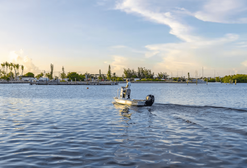 Kayaking Adventures To Boot Key And Beyond