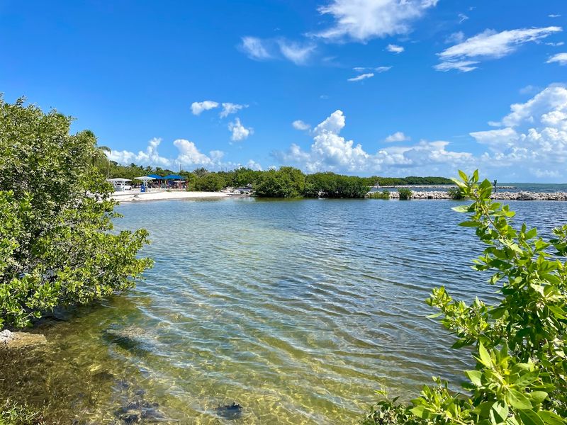 Harry Harris Park Beach (Tavernier)