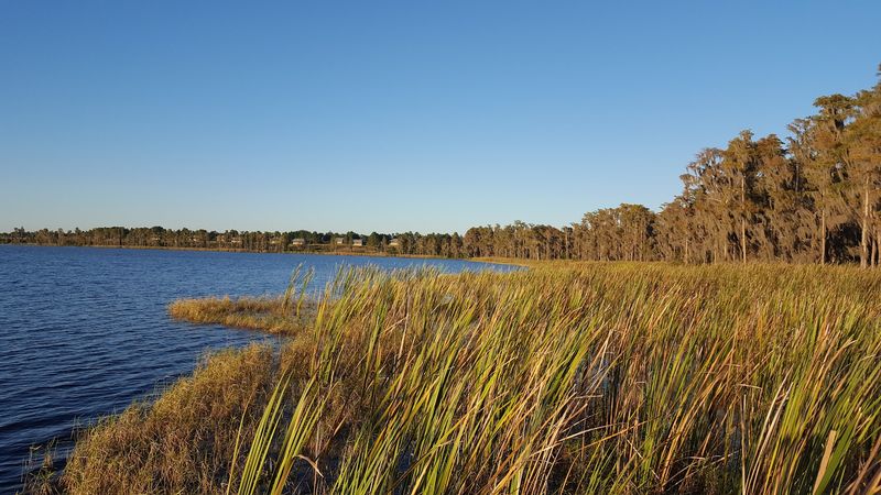Lake Louisa (Clermont)
