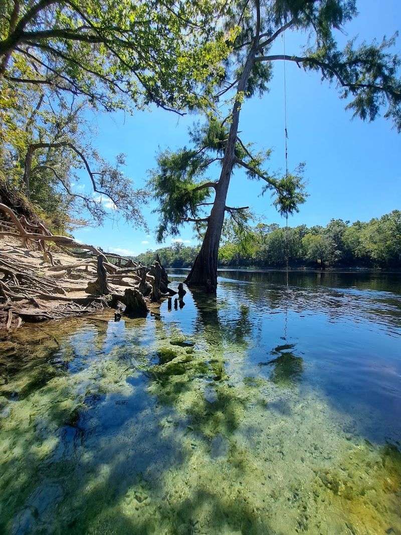 Royal Springs (O’Brien)