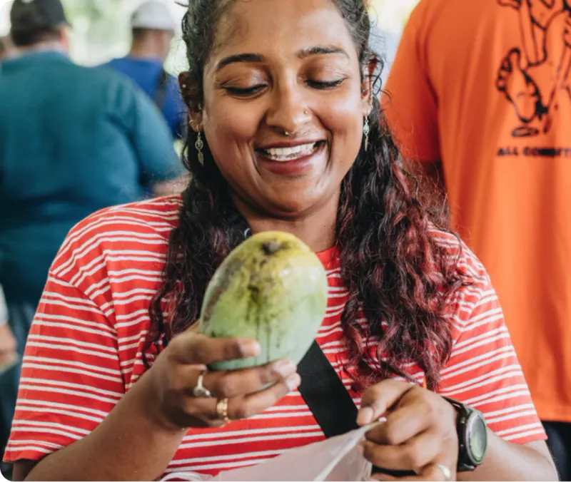 Mango Tasting Experiences Throughout the Weekend