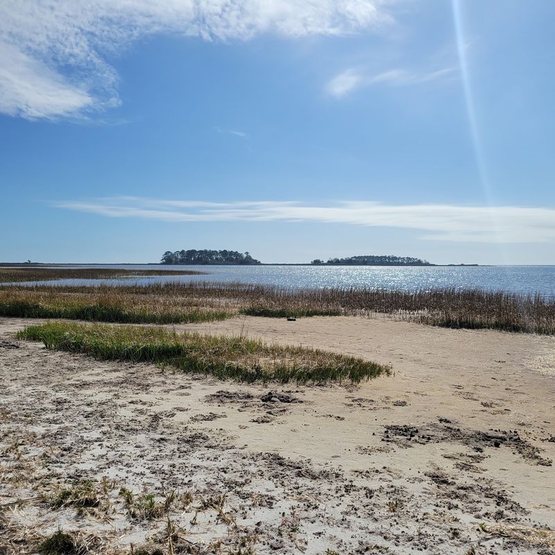 Hagen's Cove (Perry/Taylor County)
