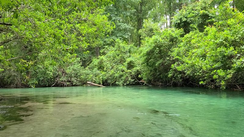 Weeki Wachee Springs