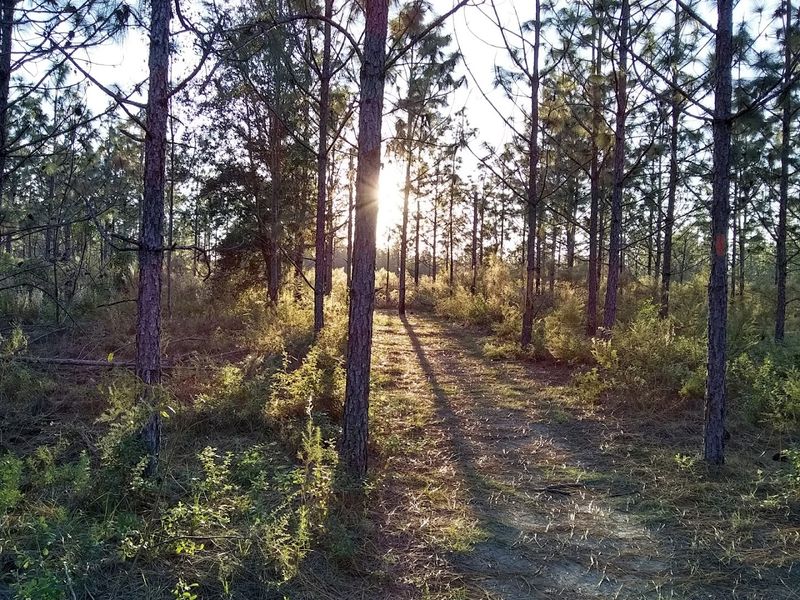 Part of the Cross Florida Greenway