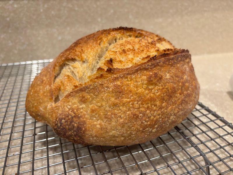 Bread Bandits (Sarasota)