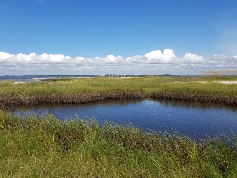 Alligator Point (Forgotten Coast)