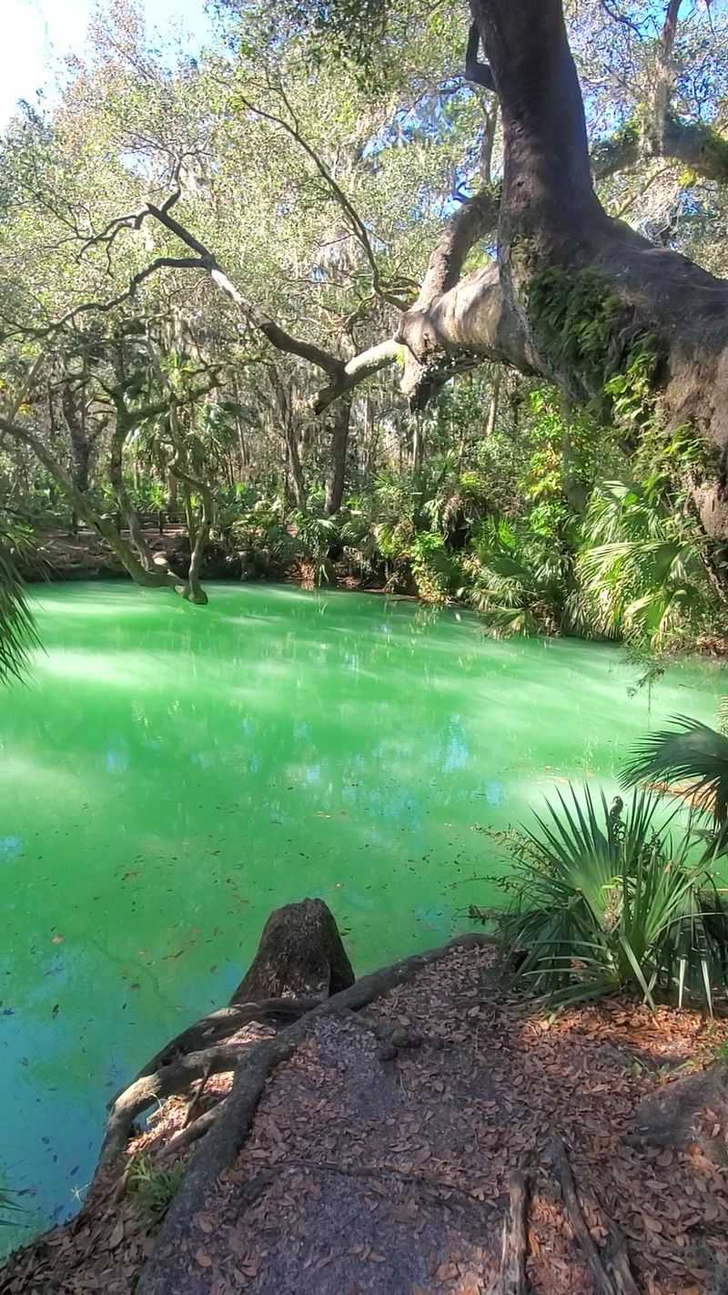 Green Springs Park (Enterprise)