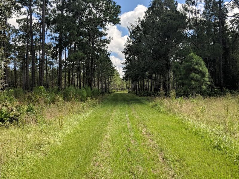 Miles of Trails That Actually Feel Remote
