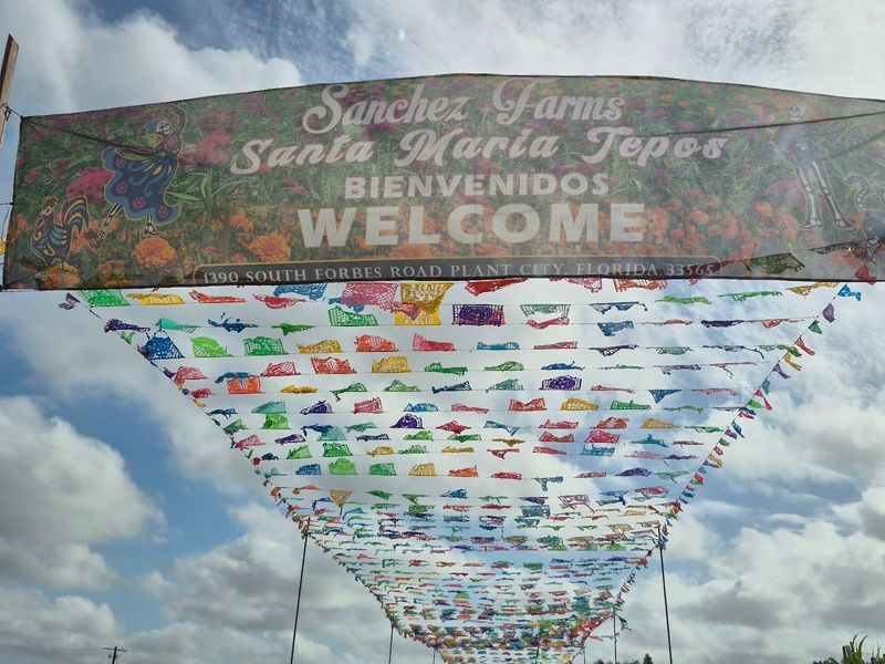 Sanchez Farms, Plant City