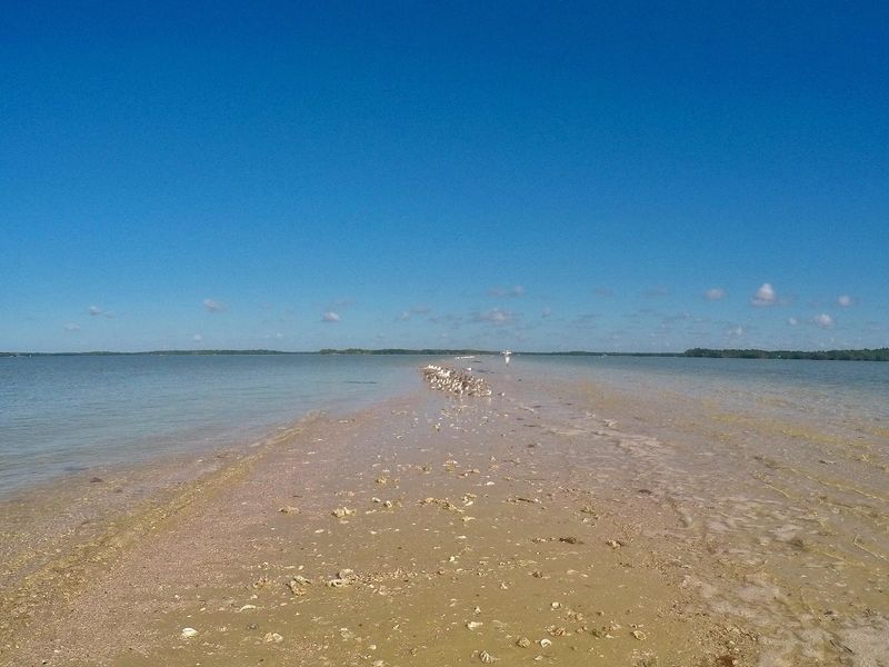 Ten Thousand Islands National Wildlife Refuge (Naples)