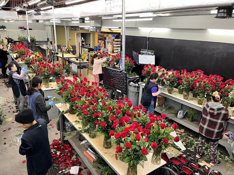 Kuhn Flowers (Jacksonville)