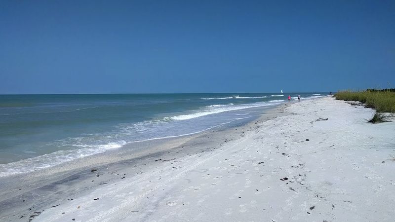 Rich Marine Life and Shell Collecting Opportunities