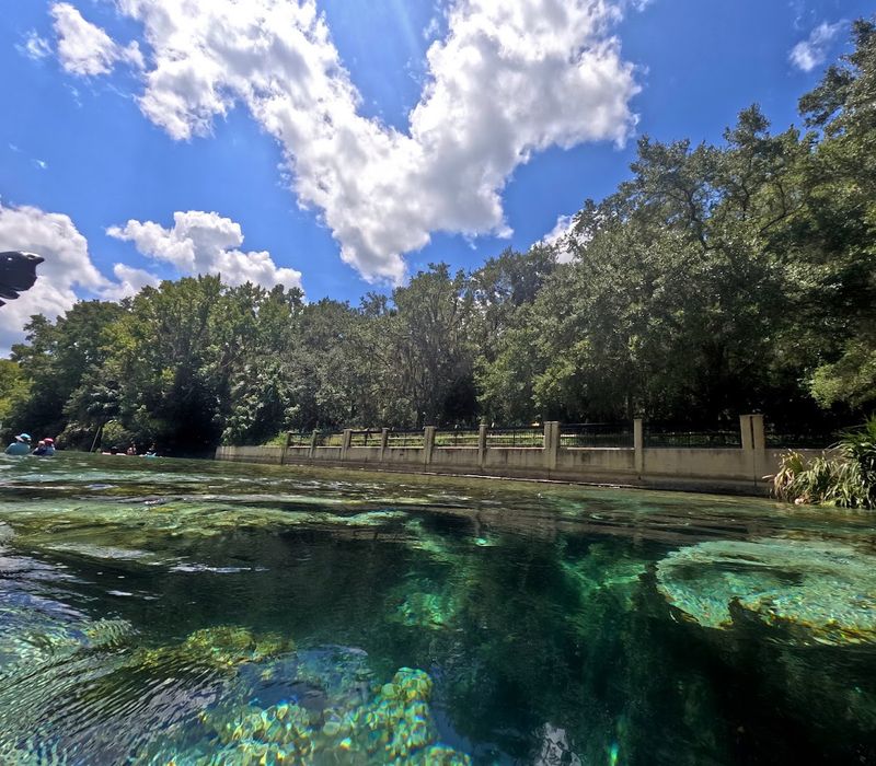 Salt Springs (Lake Kerr / Ocala National Forest)