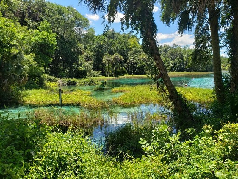 Rainbow Springs State Park (Dunnellon)