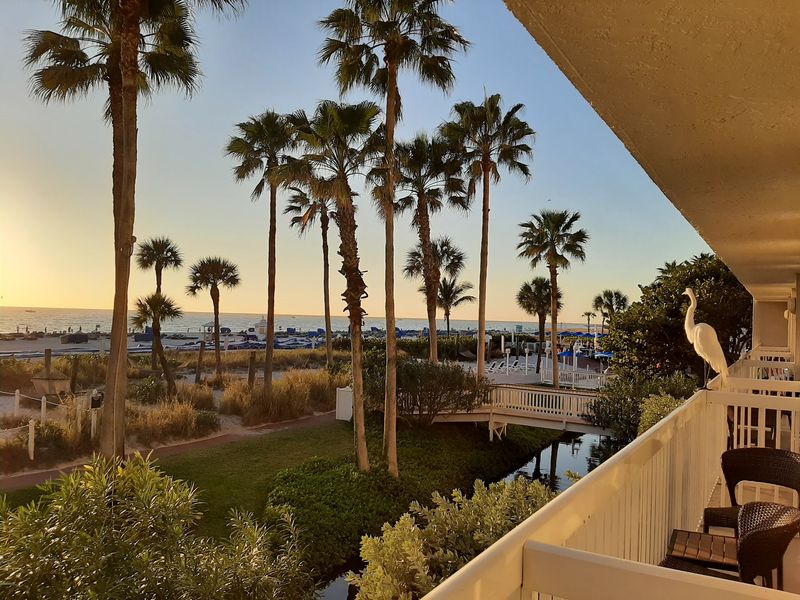 Island Grand at TradeWinds Resort (St. Pete Beach)