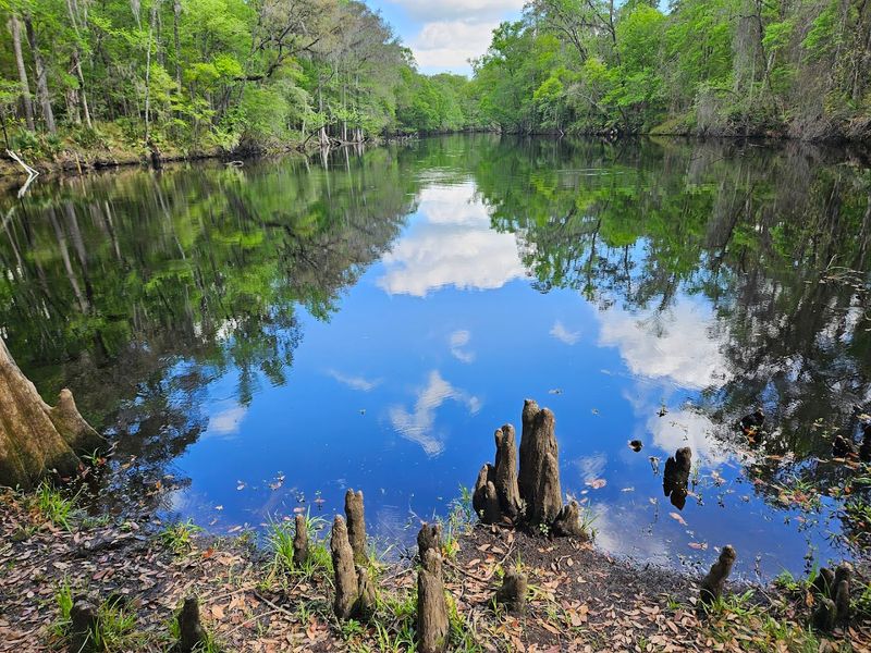 River Rise Preserve State Park — High Springs