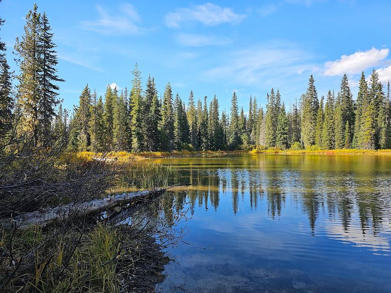 Chain of Lakes Trail (Winter Haven to Lake Alfred)
