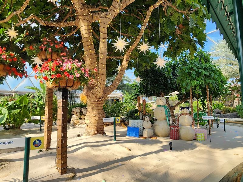 Why The Land Pavilion Stands Out at EPCOT