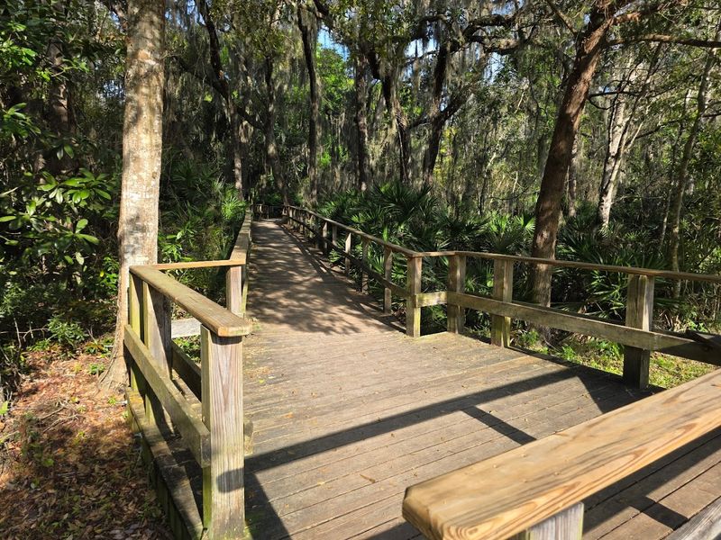 Boardwalks and Bridges That Keep Your Feet Dry