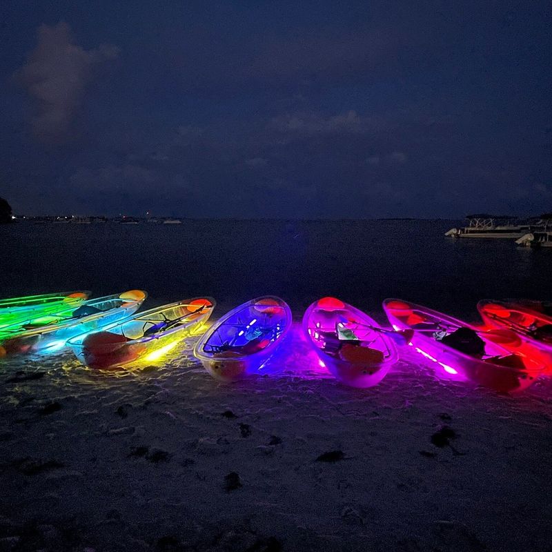 Explore the Marina for Big Fish Sightings