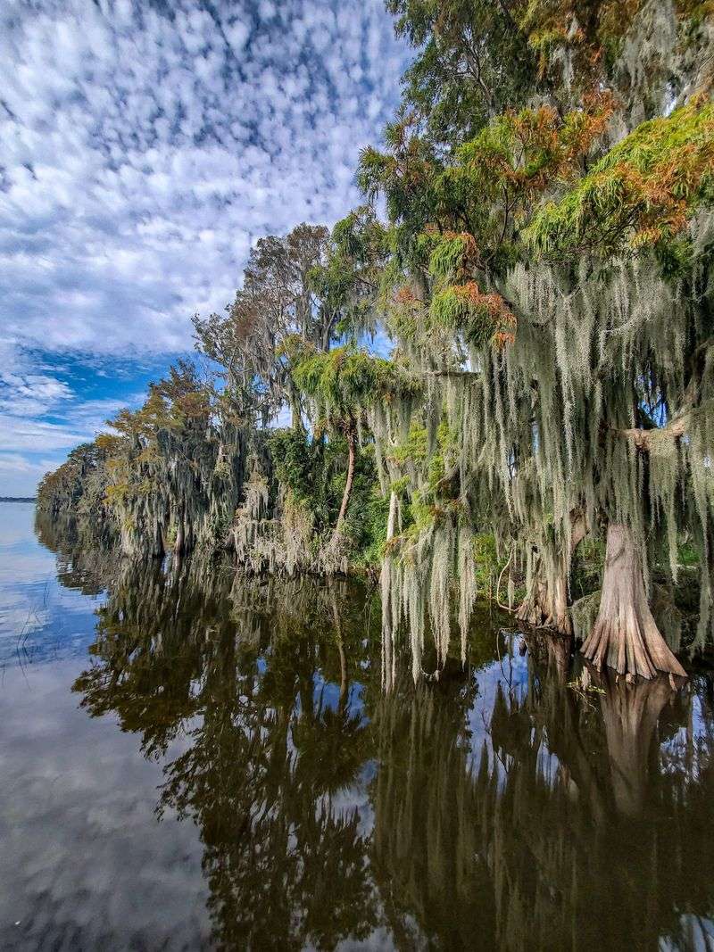 Alligator Alley Trail (Lakeland)