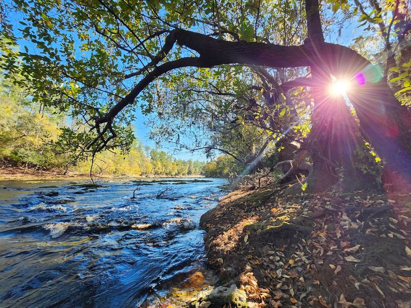 Kayaking and Rafting Adventures