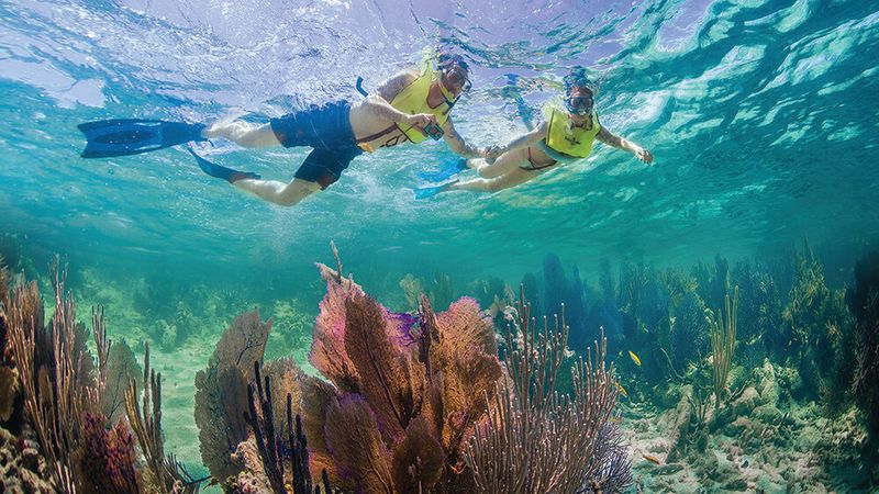 Perfect Depth for Snorkelers and Divers Alike