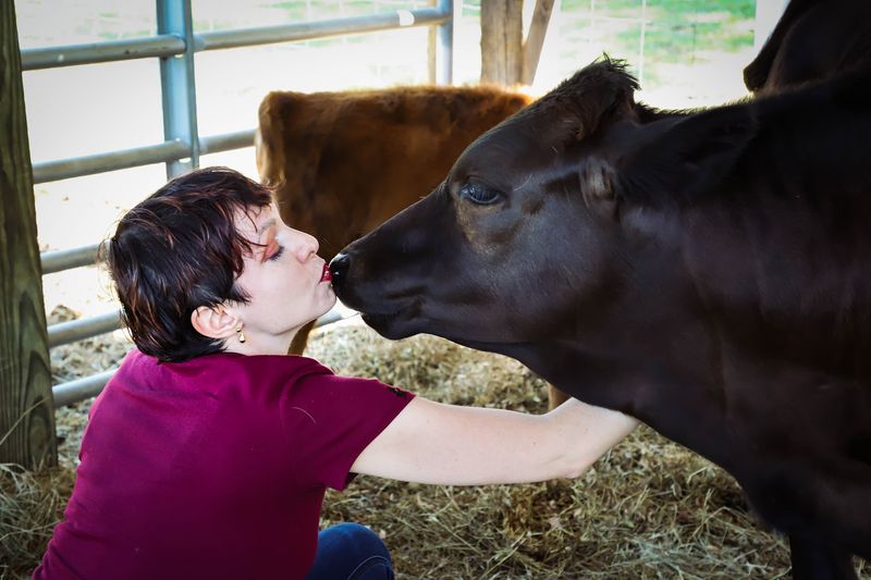 Rooterville Animal Sanctuary (Melrose)