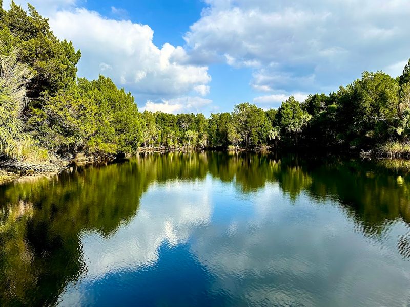 Kings Bay: The Heart of Manatee Country