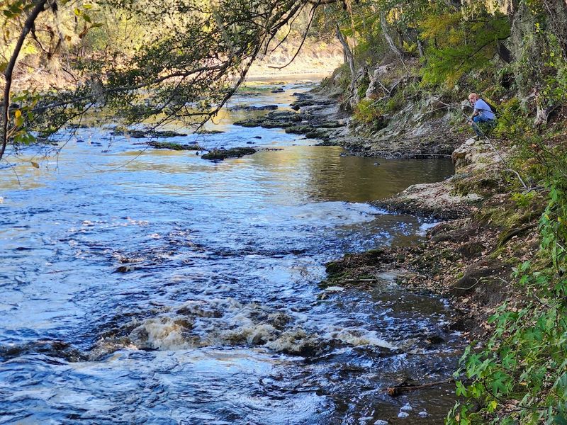 Those Towering Limestone Bluffs